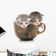Teacup Kittens Wall Decal