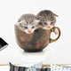Teacup Kittens Wall Decal