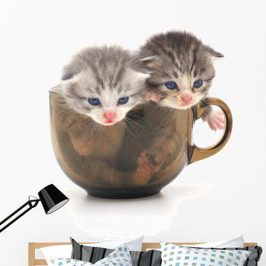 Teacup Kittens Wall Decal