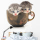 Teacup Kittens Wall Decal