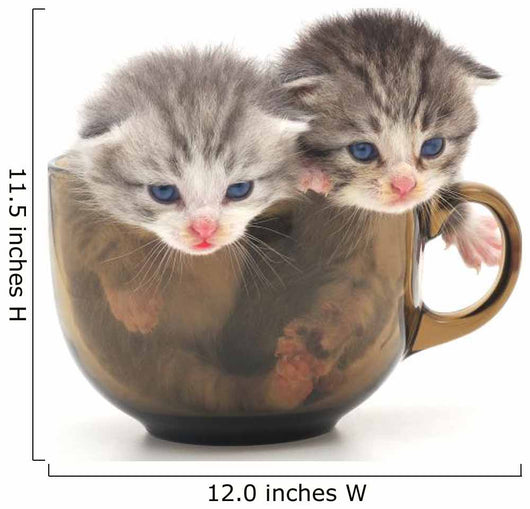Teacup Kittens Wall Decal