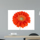 Pretty Orange Wall Decal