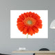 Pretty Orange Wall Decal