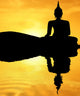 Buddha Wall Mural