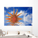 Dawn conceptual Wall Mural