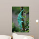 Chamaeleon-calumma Parsonii Wall Mural