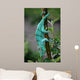 Chamaeleon-calumma Parsonii Wall Mural