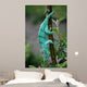 Chamaeleon-calumma Parsonii Wall Mural