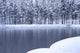 Winter Dream Wall Decal