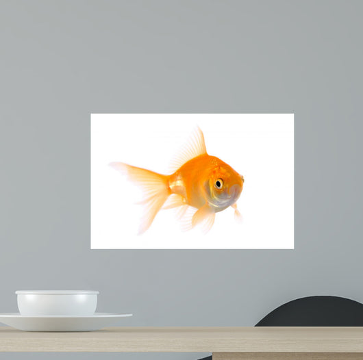 Gold Fish Wall Decal