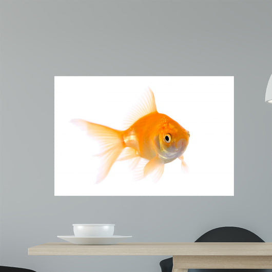 Gold Fish Wall Decal