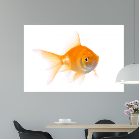 Gold Fish Wall Decal