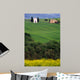 Countryside Tuscane Italy