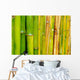 Good Quality Natural Bamboo Wall Decal
