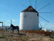 Antiparos Island Wall Decal