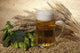 beer with barley and hop Wall Mural