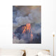 Incendio Forestal Wall Decal