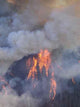 Incendio Forestal Wall Decal