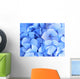Blue Hydrangea