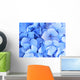 Blue Hydrangea