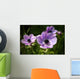 Purple Anemone Spring Flowers Wall Mural