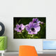 Purple Anemone Spring Flowers Wall Mural