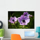 Purple Anemone Spring Flowers Wall Mural