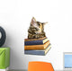 Book Loving Cat Wall Decal