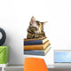 Book Loving Cat Wall Decal