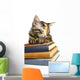 Book Loving Cat Wall Decal