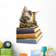 Book Loving Cat Wall Decal
