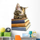 Book Loving Cat Wall Decal