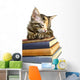 Book Loving Cat Wall Decal