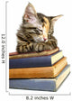 Book Loving Cat Wall Decal