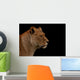 Up Profile Lion Black Wall Mural