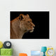 Up Profile Lion Black Wall Mural