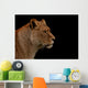 Up Profile Lion Black Wall Mural