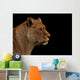 Up Profile Lion Black Wall Mural
