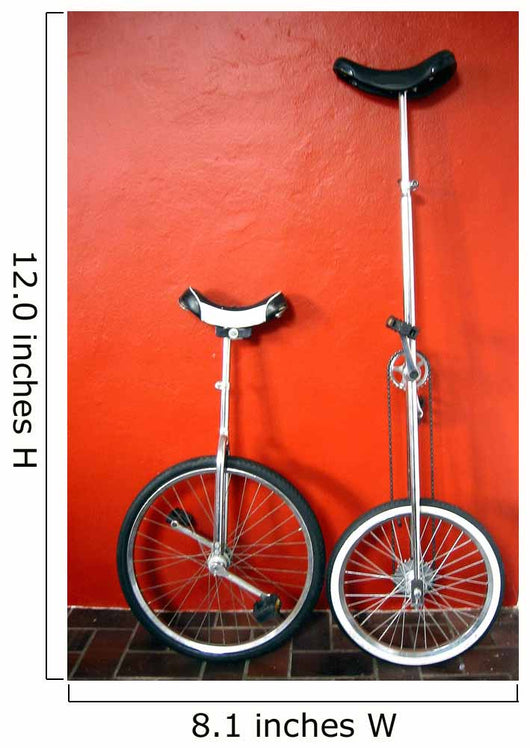 Unicycles 2 Wall Mural