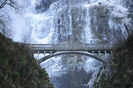Natures Art Pacific Northwest Wall Mural
