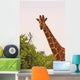 Giraffe with Bird Head Wall Mural