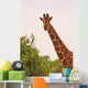 Giraffe with Bird Head Wall Mural