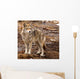 Coyote on a Spring Day Wall Mural