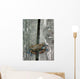 Eastern Us Blue Claw Crab Wall Mural