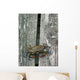 Eastern Us Blue Claw Crab Wall Mural