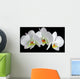 White orchid with drop of dew Wall Mural