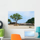 Tropical Rocky Beach with