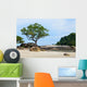 Tropical Rocky Beach with