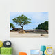 Tropical Rocky Beach with
