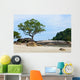 Tropical Rocky Beach with